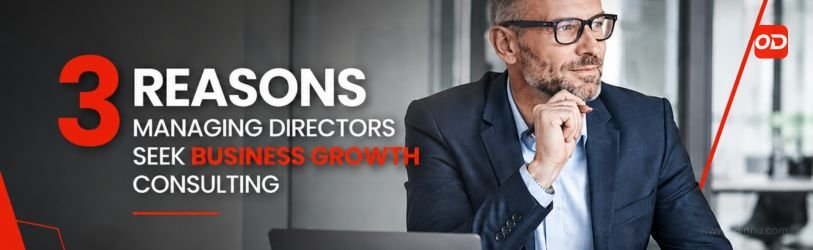 3 Reasons Managing Directors Seek Business Growth Consulting